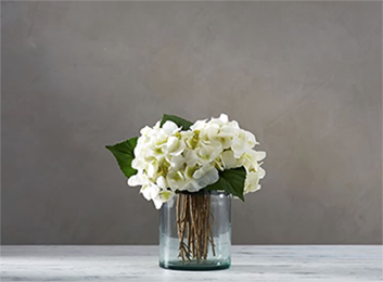 hydrangea annabellein jar hydrangea annabellein jar